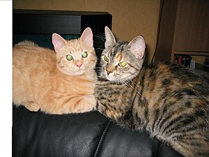 Bild 051204 010.JPG