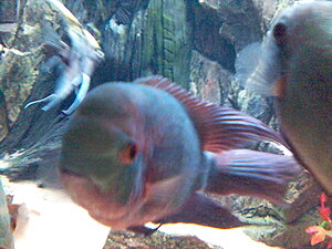 Klicka på bilden för större version

Namn: Bild(4).jpg
Visningar: 354
Storlek: 81,3 KB
ID: 2092595