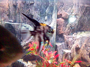 Klicka på bilden för större version

Namn: Bild(5).jpg
Visningar: 364
Storlek: 84,3 KB
ID: 2092596