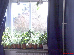 Klicka på bilden för större version

Namn: DSC00011.JPG
Visningar: 200
Storlek: 61,2 KB
ID: 2092989