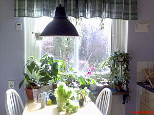 Klicka på bilden för större version

Namn: DSC00012.JPG
Visningar: 211
Storlek: 67,6 KB
ID: 2092990