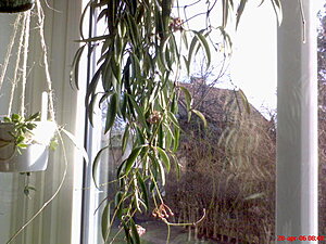 Klicka på bilden för större version

Namn: DSC00013.JPG
Visningar: 194
Storlek: 69,4 KB
ID: 2092991