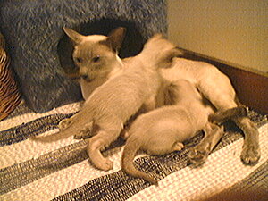 Klicka på bilden för större version

Namn: familjefoto.jpg
Visningar: 141
Storlek: 134,6 KB
ID: 2093487