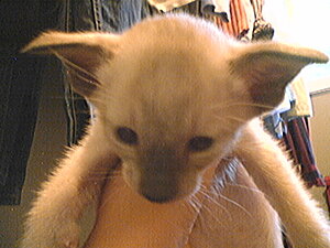 Klicka på bilden för större version

Namn: vem3.jpg
Visningar: 149
Storlek: 111,9 KB
ID: 2093497