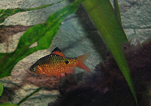 Klicka på bilden för större version

Namn: Mums4.jpg
Visningar: 312
Storlek: 61,4 KB
ID: 2094980