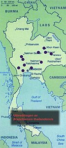 Klicka på bilden för större version

Namn: Utbredning B thailandensis.jpg
Visningar: 279
Storlek: 82,8 KB
ID: 2096500