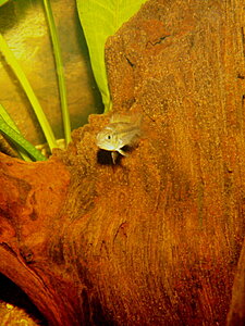 Klicka på bilden för större version

Namn: PA140018.JPG
Visningar: 198
Storlek: 408,7 KB
ID: 2097363