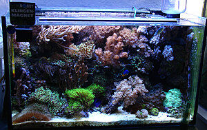 Klicka på bilden för större version

Namn: Lilla saltis på Das Aquarium.jpg
Visningar: 182
Storlek: 386,7 KB
ID: 2099196