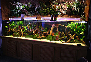 Klicka på bilden för större version

Namn: SA visningskar på Das Aquarium.jpg
Visningar: 205
Storlek: 366,1 KB
ID: 2099197