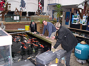 Klicka på bilden för större version

Namn: Västingar på fiskefänge.jpg
Visningar: 220
Storlek: 398,5 KB
ID: 2099198