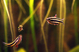 Klicka på bilden för större version

Namn: IMG_2881.jpg
Visningar: 179
Storlek: 76,2 KB
ID: 2099512