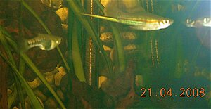 DSCN0027_2.jpg