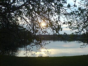 Klicka på bilden för större version

Namn: h-sjön 2.jpg
Visningar: 132
Storlek: 184,3 KB
ID: 2100307