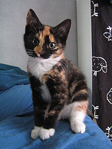 Klicka på bilden för större version

Namn: IMG_2856 kopia.jpg
Visningar: 1032
Storlek: 342,0 KB
ID: 2100916