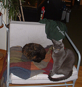 Klicka på bilden för större version

Namn: Bild 002_edited.jpg
Visningar: 359
Storlek: 183,8 KB
ID: 2100959