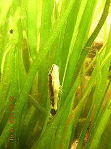 Klicka på bilden för större version

Namn: DSCN6158_988x741.JPG
Visningar: 302
Storlek: 369,8 KB
ID: 2101472