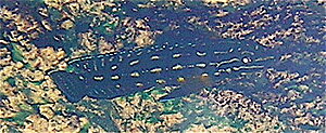 Klicka på bilden för större version

Namn: DSCN0652.JPG
Visningar: 243
Storlek: 99,5 KB
ID: 2102008