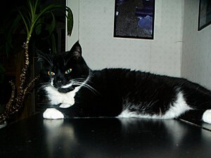 PICT0004a.jpg