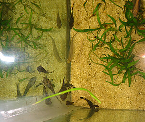 Klicka på bilden för större version

Namn: 030.jpg
Visningar: 321
Storlek: 438,5 KB
ID: 2103299