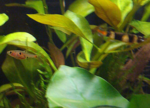 Klicka på bilden för större version

Namn: Boraras micros.jpg
Visningar: 152
Storlek: 478,2 KB
ID: 2104653