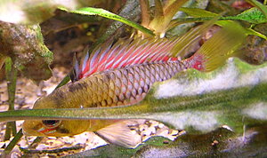 Klicka på bilden för större version

Namn: DSCN6898.JPG
Visningar: 256
Storlek: 282,3 KB
ID: 2105004