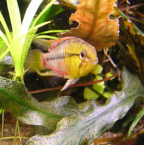 Klicka på bilden för större version

Namn: DSCN6910.JPG
Visningar: 232
Storlek: 394,8 KB
ID: 2105005