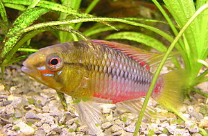 Klicka på bilden för större version

Namn: DSCN6914.JPG
Visningar: 235
Storlek: 310,8 KB
ID: 2105006