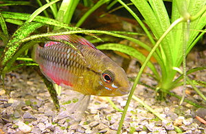 Klicka på bilden för större version

Namn: DSCN6915.JPG
Visningar: 236
Storlek: 330,1 KB
ID: 2105007
