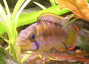 Klicka på bilden för större version

Namn: DSCN6940.JPG
Visningar: 231
Storlek: 341,8 KB
ID: 2105015
