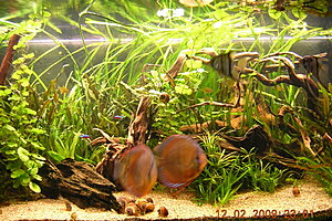 Klicka på bilden för större version

Namn: DSCN6953_840.jpg
Visningar: 261
Storlek: 405,5 KB
ID: 2105161