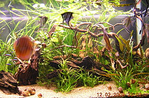 Klicka på bilden för större version

Namn: DSCN6955_900.jpg
Visningar: 269
Storlek: 434,1 KB
ID: 2105163