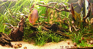 Klicka på bilden för större version

Namn: DSCN6956_924.jpg
Visningar: 291
Storlek: 386,8 KB
ID: 2105164