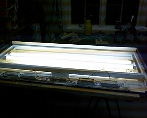 IMAGE_00049.jpg