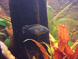 Klicka på bilden för större version

Namn: DSC05145.JPG
Visningar: 166
Storlek: 860,7 KB
ID: 2117696