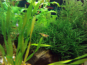 Klicka på bilden för större version

Namn: DSC05213.JPG
Visningar: 170
Storlek: 756,4 KB
ID: 2117713