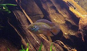 Klicka på bilden för större version

Namn: DSC05423.JPG
Visningar: 162
Storlek: 902,8 KB
ID: 2118286