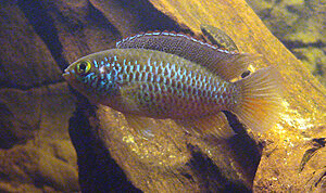 Klicka på bilden för större version

Namn: DSC05427.JPG
Visningar: 167
Storlek: 819,1 KB
ID: 2118287