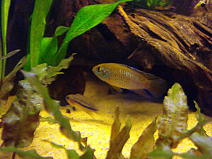 Klicka på bilden för större version

Namn: DSC05490.JPG
Visningar: 170
Storlek: 737,5 KB
ID: 2118327