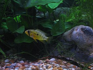 IMG_4578.jpg