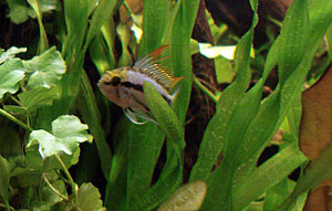 Klicka på bilden för större version

Namn: DSC05858.JPG
Visningar: 230
Storlek: 463,5 KB
ID: 2123629