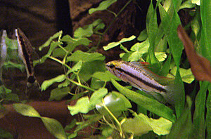 Klicka på bilden för större version

Namn: DSC05860.JPG
Visningar: 233
Storlek: 643,3 KB
ID: 2123630