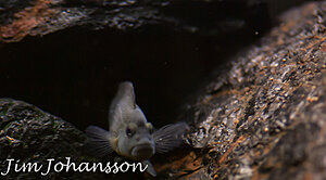 IMG_6772.jpg