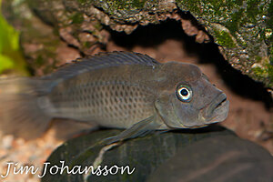 IMG_6821.jpg