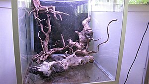 IMG_4652.jpg