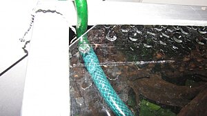 Click image for larger version

Name:	IMG_4717.jpg
Views:	452
Size:	100.0 KB
ID:	2127306