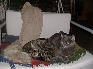 Klicka på bilden för större version

Namn: Rufus&amp;amp;Pyret02.jpg
Visningar: 220
Storlek: 111,7 KB
ID: 2127343
