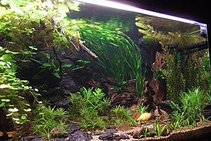 Klicka på bilden för större version

Namn: hö2.JPG
Visningar: 315
Storlek: 236,4 KB
ID: 2127953