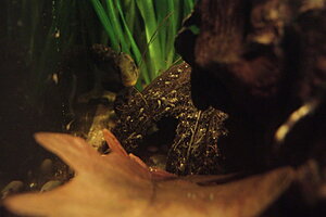 2010-11-01 15-41-28_resize.JPG
