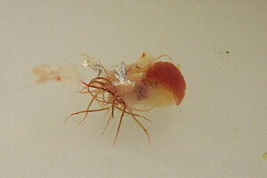 2010-11-16 20-14-11b_resize.jpg