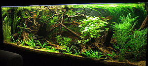 Click image for larger version

Name:	2010-12-12 18-28-37_resize.jpg
Views:	173
Size:	281.4 KB
ID:	2129941